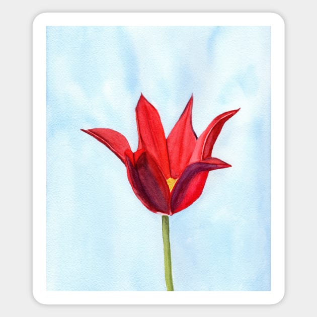 Lily Flowering Tulip Sticker by Sandraartist